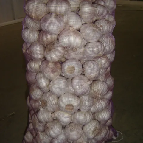 Emballage d'ail violet dans un carton de 10kg 2023 nouvelle culture