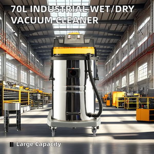 Aspirapolvere Industriale per Solidi e Liquidi da 70L, Elettrodomestici Fornitore di Taizhou - Product Image 2