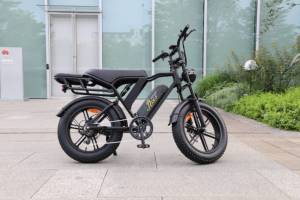 Vélo Électrique 48V 15Ah 20Ah 25km/h 250W, E-bike Pneus Larges 20 Pouces, Cadre en Acier, Entrepôt EU, <span class=keywords><strong>Fatbike</strong></span> pour Adulte - Product Image 6