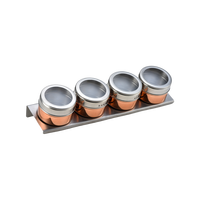 Vente chaude Ensemble portable en acier inoxydable pour café et thé Contenants pour sel et poivre Shakers à épices magnétiques