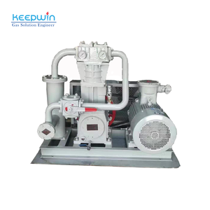 361B <span class=keywords><strong>korken</strong></span> ZW-0.95/10-16 11KW Biogas kompressor LPG Gas kompressor Ammoniak kompressor - Product Image 2