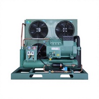 Équipement de condensation semi-hermétique de type plaque refroidi par air avec double ventilateur pour chambre froide et système de réfrigération R410A automatique