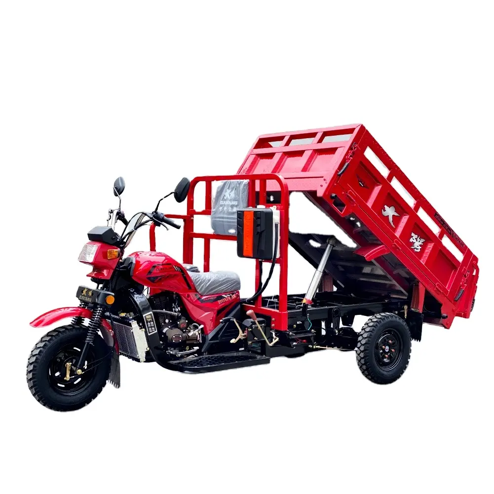 Fast and Responsive Petrol Tricycle Heavy Duty Truck Tyre Motorized Tricycles Strong