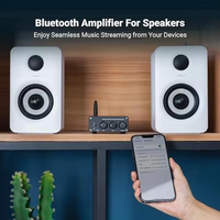 Amplificateur Mini Classe D en Métal 2.0 Canaux avec Réponse en Fréquence 20Hz-20KHz et SNR 98dB, 200W, 110-240V pour Audio Domestique