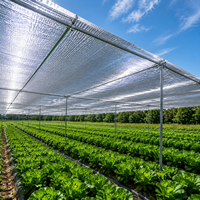 Filet d'ombrage réfléchissant argenté en HDPE de 4m x 4m pour légumes de serre, plantes de pépinière et contrôle thermique agricole