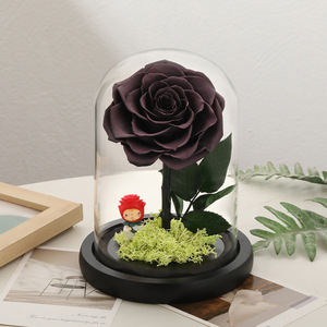 Rosa Eterna en Caja de Regalo con Temática del Principito, para San Valentín, Día del Maestro, Navidad, Cumpleaños, Confesiones, Propuesta de Matrimonio - Product Image 3