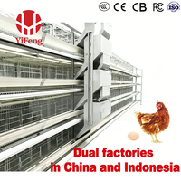 Cage à poulets de chair de type H, cage à poulets de chair à 3 niveaux avec plancher en plastique, système d'évacuation automatique du fumier, abreuvoir à tétine, élevage avicole haute densité