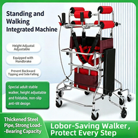Andador de Acero de Alta Calidad para Personas Mayores con Discapacidad, Hemiplejia, Ayuda para Caminar, Equipo de Rehabilitación y Fisioterapia, 1 Año de Garantía