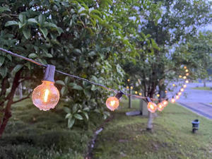 220V 110V 12V <span class=keywords><strong>E12</strong></span> Edison ấm trắng <span class=keywords><strong>Filament</strong></span> G40 shatterproof LED thay thế bóng đèn cho Retro chiếu sáng - Product Image 3