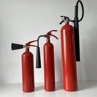 Ventes Flash Prix Compétitif 1kg, 2kg, 4kg, 6kg, 9kg Extincteur à Poudre Sèche ABC 60% Cylindre CE/EN3
