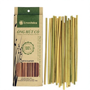 Pailles en herbe vietnamienne réutilisables, écologiques, biodégradables, de haute qualité et à bon prix de chez Eco2go Vietnam - Product Image 3
