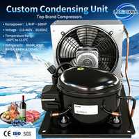 Réfrigérateur vitrine NEU2178GK R404A 220V, unité de condensation à basse température avec compresseur Embresco