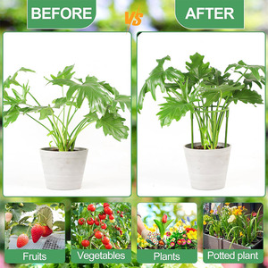 <span class=keywords><strong>Support</strong></span> de plante en forme de demi-cercle pour jardin, cage à fleurs, <span class=keywords><strong>support</strong></span> de plante, tige de fixation pour la croissance des <span class=keywords><strong>plantes</strong></span>, <span class=keywords><strong>support</strong></span> de grimpant pour vigne, piquet de maintien en fibre de verre PE - Product Image 5