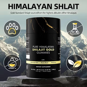 Tốt hơn ALT tự nhiên ban đầu vàng Himalaya shilajit năng lượng Gummies cho nam giới biển rêu sư tử bờm chiết xuất dành cho người lớn bổ sung - Product Image 3