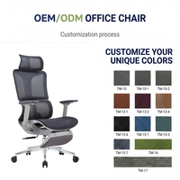 Chaise de bureau ergonomique moderne haut de gamme en maille avec accoudoirs 3D réglables et coussin lombaire pour une position assise prolongée