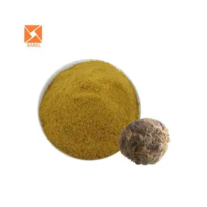 Proveedor de polvo de extracto de bilis de buey puro, producto superventas de grado ISO