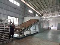 Meerlaagse gaasbanddroger continue warmtepomp transportband droogmachine voor de verwerking van fruit, groenten, voedsel, chilipepers en bloemen