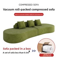 Sofá Cama de Tela Comprimida 2 en 1, Empacado al Vacío, Plegable Doble, Moderno y Minimalista, Juego de Muebles para Sala de Estar