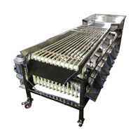 Machine de calibrage automatique multifonctionnelle pour litchis (WanqingMachinery) – Trieuse de litchis
