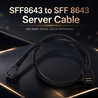 Cable de servidor SAS HBA, interfaz SFF-8643, velocidad de datos de 12 Gbps, doble blindaje, antiinterferencias, matriz de unidades de disco duro