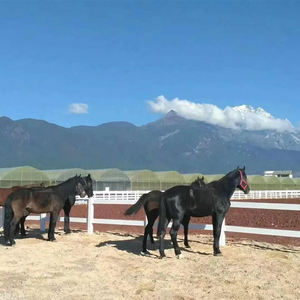 Clôture de <span class=keywords><strong>cheval</strong></span> en PVC noir <span class=keywords><strong>blanc</strong></span> extérieur 4 rails clôture de <span class=keywords><strong>cheval</strong></span> en PVC pour grands champs et fermes équins <span class=keywords><strong>prix</strong></span> direct d'usine - Product Image 1