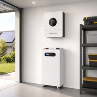 Batería LiFePO4 de 16 kWh, 48 V, 51,2 V, 314 Ah, Sistema de Almacenamiento de Energía Solar, Batería Móvil en Gabinete con Ruedas para Respaldo de Inversor Solar