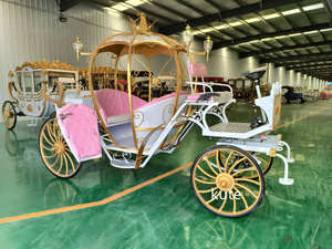 Fabricant professionnel de calèches royales électriques de luxe à double usage pour mariages et visites touristiques, calèche de tourisme européenne - Product Image 4