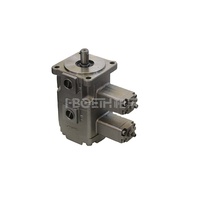 Pompe hydraulique série DS en promotion : modèles DS11P, DS12P, DS13P, DS14P, DS15P – Pompe à palettes monophasée compacte de qualité supérieure