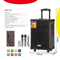 Enceinte sans fil créative NDR-C12 12'' 50W avec 5 boutons, deux microphones sans fil et télécommande pour la musique