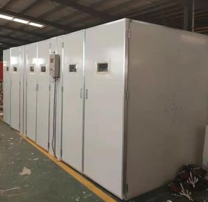 Baojieyuan Incubadoras de <span class=keywords><strong>huevos</strong></span> de gallina: Incubadoras automáticas de <span class=keywords><strong>huevos</strong></span> de gallina de <span class=keywords><strong>Guinea</strong></span> - Product Image 6