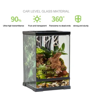 Mini Reptile en verre Terrarium, porte d'ouverture à l'avant, vue complète en verre utiles comme Mini Reptile ou animaux couleur