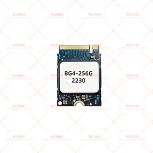 Ổ cứng thể rắn M.2 BG4 2230 dành cho máy tính xách tay BG4-256G-2230 - Product Image 3