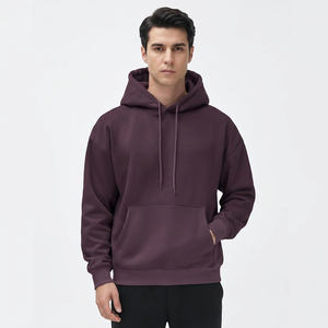 Sweats à capuche pour hommes automne, design unique, respirants, légers, style streetwear, faible MOQ, en vente - Product Image 1