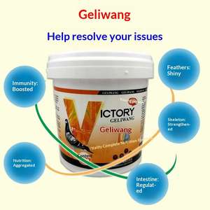 Píldoras para el Crecimiento de Pichones Jóvenes, Potenciador de Vitalidad, Desarrollo Corporal, Suplementos para la Muda, Soporte Nutricional, Soporte Inmunológico y Óseo - Product Image 5