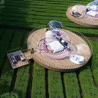 Maison à bulles Outdoor Glamping Resort avec dôme géodésique Igloo transparent pour hôtel