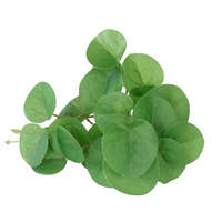 Plante Artificielle de Luxe : Feuilles de Vetchie Chinoise Vertes Personnalisées en Pot pour Décoration d'Intérieur, Plafond, Fenêtre Tropicale, Aménagement Paysager en Plastique