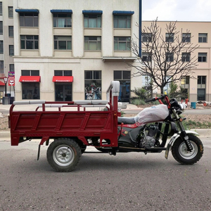 Trung Quốc nhà máy 150cc làm mát bằng không khí ba bánh xăng động cơ ba bánh xe Cargo ba bánh nhà sản xuất - Product Image 3