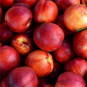 Các Nhà Sản Xuất Giá Tươi Mật Hoa Ngọt Ngào Mật Hoa Kích Cỡ Khác Nhau Mật Hoa - Product Image 4