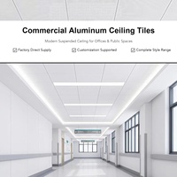 Panneau de plafond suspendu en aluminium alvéolaire léger 7 mm 9 mm, écologique, résistant au feu, garantie 5 ans pour les bureaux commerciaux