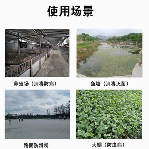 Portable Electric Powder <b>Sprayer</b> Knapsack High Power Lithium Battery Farm Use Agricultural <b>Sprayers</b> - Product Image 3