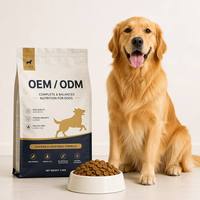 Nourriture sèche pour chiens de qualité supérieure, riche en protéines, 26% de protéines brutes, sans céréales, pour toutes les races, croquettes pour chiens, OEM ODM, étiquette privée, usine, approvisionnement en vrac
