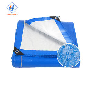 <span class=keywords><strong>Bâche</strong></span> transparente extérieure de <span class=keywords><strong>bâche</strong></span> de paillis de <span class=keywords><strong>bâche</strong></span> du PE 160gsm - Product Image 1