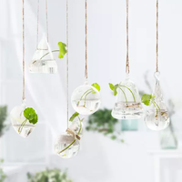 Petit vase suspendu créatif en verre, terrarium, bouteille pour plantes hydroponiques, conteneur pour plantes succulentes et plantes aériennes, décoration d'intérieur