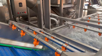 304 Roestvrijstalen Bubbelwasmachine Voor Het Reinigen Van Groenten En Fruit