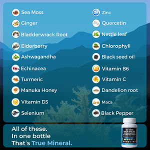 WXW Vegan organik deniz yosun kapsülleri Ashwagandha bağışıklığı artırma ile deniz yosun takviyesi - Product Image 2