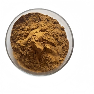 Estratto di Ippocastano Direttamente dalla Fabbrica, Polvere di Estratto di Ippocastano con 98% di Esculin in Bulk - Product Image 3