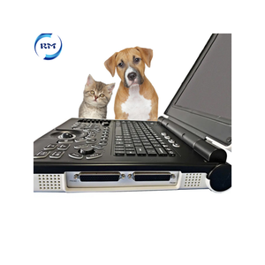 Appareil d'échographie diagnostique <span class=keywords><strong>Rayman</strong></span> B/White pour usage vétérinaire, scanner avec alimentation électrique et garantie d'un an, sondes optionnelles pour chiens - Product Image 5