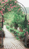 Pergola de jardin en fer de haute qualité, 86 pouces, résistante aux intempéries, pour roses, fleurs grimpantes, arche de jardin en métal pour mariage en extérieur