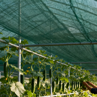Groene HDPE schaduwnet 70% schaduwpercentage 3x50m UV-bestendig voor kas, boerderij, tuin, autoparking schaduw.
