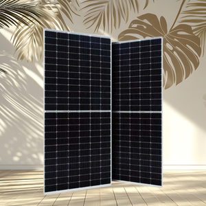 Panel Solar Bifacial Tipo N Topcon de 595 Vatios, Precio de Fábrica, Vietnam, Vidrio Doble de Alta Transmitancia para Sistemas Agrícolas Fotovoltaicos - Product Image 1